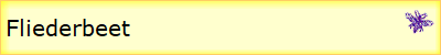 Fliederbeet
