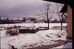 Garten-Winter 86